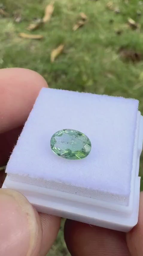 Natural Bi-Color Tourmaline Oval Cut - 0.94 cts (8.07 x 5.80 mm)