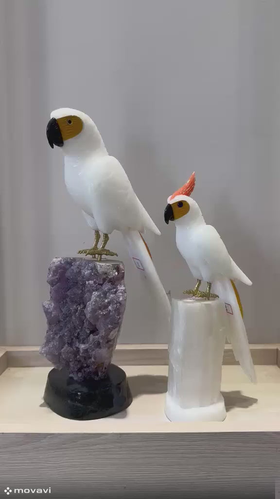 The White Majesty Collection - Dolomite Macaw and Cockatoo Sculpture Pair on Premium Crystal Bases